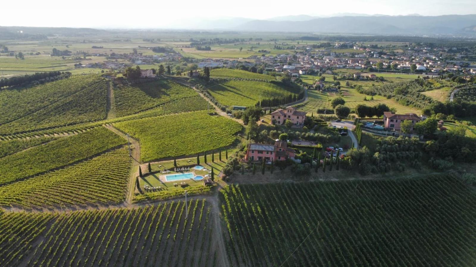 Agriturismo Corte In Poggio Stabbia Εξωτερικό φωτογραφία